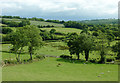 Farmland south-west of Llwyn-y-Groes, Ceredigion