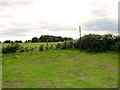 Pasture on Leiston Common