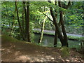 Basingstoke Canal