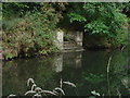 Basingstoke Canal