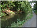 Basingstoke Canal