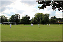 SU8486 : Cricket Match, Marlow, Buckinghamshire by Christine Matthews