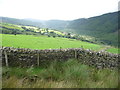 Dry stone walls above the Afan Valley