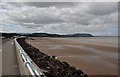 Blue Anchor : Sandy Coastline