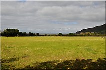 SS8847 : West Somerset : Grassy Field by Lewis Clarke
