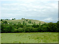 Farmland north-west of Abermeurig, Ceredigion