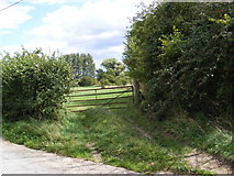 TM2160 : Field Entrance off Swan Lane by Geographer