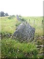 NO6491 : Glacial boulder in a dry stone wall by Stanley Howe