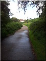 Footpath from Wensum Park to Drayton Road