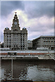 SJ3390 : Liverpool, Royal Liver Building by David Dixon