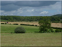 TQ2512 : Fields between Poynings and Fulking by Shazz