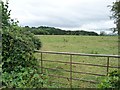 SO5468 : Half-blocked gate into pasture field by Christine Johnstone