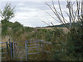 Footpath off Carrington Lane