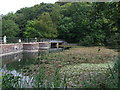 Mill pond at Bryn Celyn