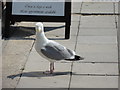 Folkestone, Sandgate Road