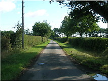 SE6039 : Moor Lane towards Moor Farm by JThomas