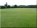 Superb cricket pitch behind Brook house