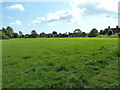 Grass area on the east side of Ardingly