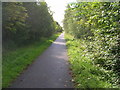 Trans Pennine Trail towards Selby