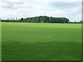 Farmland near Winchat Hall