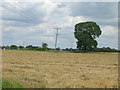 Farmland, High Stang