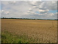 Farmland near Link Hall