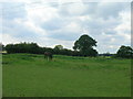 Farmland near Sheepwalk Farm