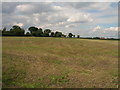 Farmland near the A19