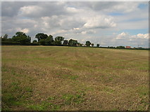 SE6243 : Farmland near the A19 by JThomas