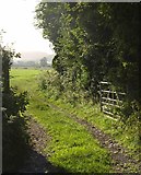 ST4457 : Track near Shipham by Derek Harper