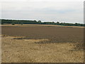 Farmland near Stillingfleet