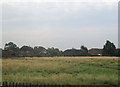 Houses on Aston Road from railway