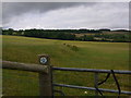 Bridleway to Upcote Farm