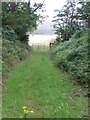 SP0214 : Path in Withington Woods by Liz Stone