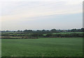 Farmland at Moss Field Farm