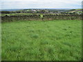 Footpath towards Outlane