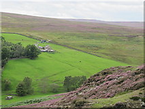NY9841 : The valley of Stanhope Burn around Hope House (2) by Mike Quinn