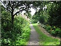 Disused railway, Seahouses