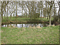 TL6656 : Small pond by Stetchworth Park Farm by Hugh Venables
