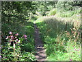 Footpath towards Stainland