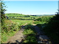 Chilcombe, bridleway