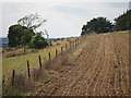 Fields by Stonestile Farm Road