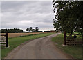 TF1750 : Drive to Grange Farm, near South Kyme by J.Hannan-Briggs