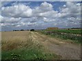 Track and Bales north of Hurn Drove