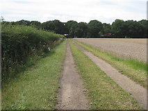 SK8672 : Farm track to Thorney Brown Wood by Jonathan Thacker