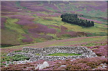 NT1433 : Sheepfold on a heathery hillside by Jim Barton