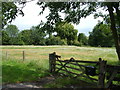 A field with a letter box