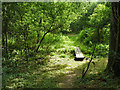 Footbridge, Thorn Common