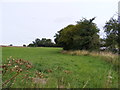 Footpath to Cookley  & Linstead Roads