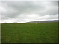SD5452 : Sheep pasture near Swainshead Hall by Karl and Ali